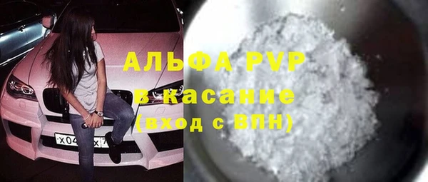 стаф Осинники