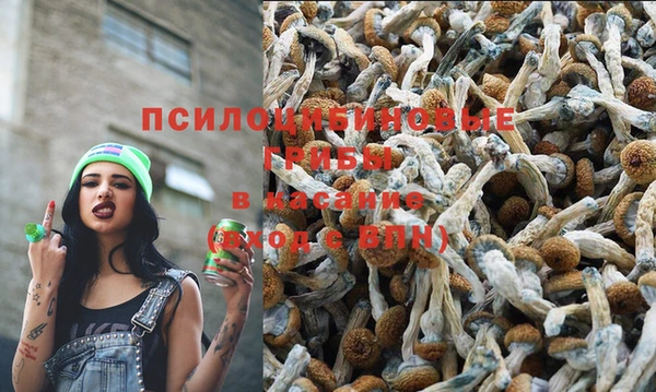 скорость Пестово