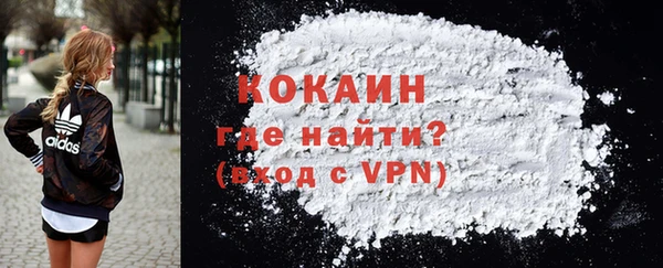 стаф Осинники