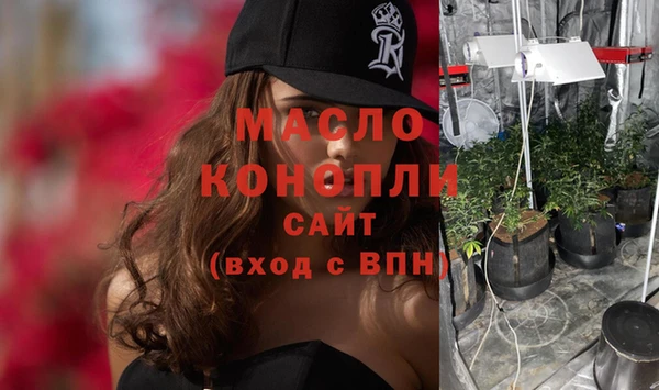 стаф Осинники