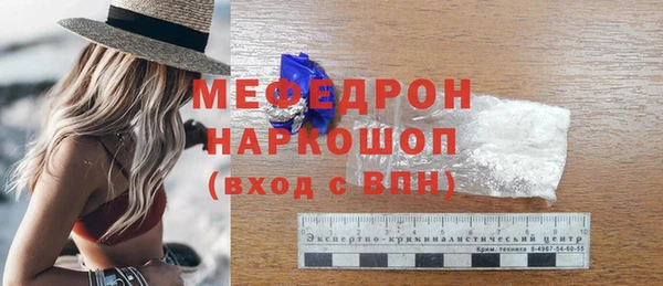 стаф Осинники
