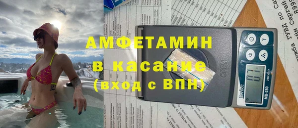 стаф Осинники