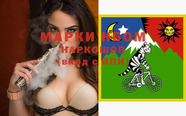 стаф Осинники
